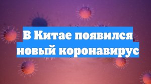 В Китае появился новый коронавирус