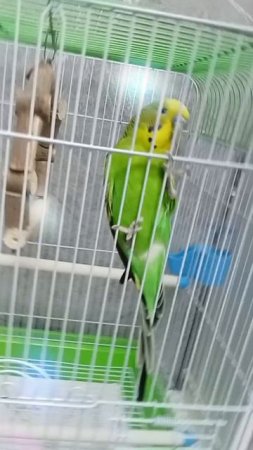 Счастливый Кеша🥰