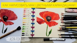 КАК НАРИСОВАТЬ МАК ЦВЕТНЫМИ КАРАНДАШАМИ |ASYAFOXART