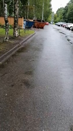 Как жизнь
