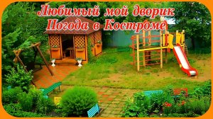Ливень в Костроме погода сегодня Мой любимый Дворик