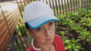 Видео привет с 6 соток 26 июня 2025 года.