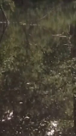 У воды