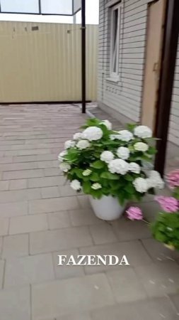 Можно не только в саду, но и под навесом создать такую красоту.🌷