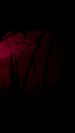 Люди в в малиновом лесу▶Chordosis #Валерианыч #shorts