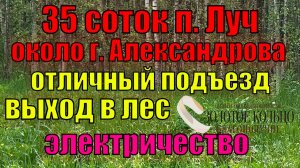 Участок 35 соток в посёлке Луч, около гор. Александрова Владимирской обл., окружен березовой рощей.