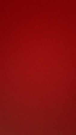 IMG_2856