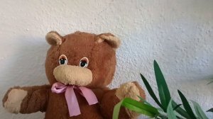 Испанский Паспорт у Русского Медведя. Наташа просто вышла в Окно!
