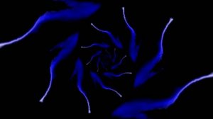 Planisphere - Moonshine (Original Mix)