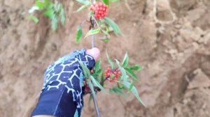 30-06-2025 сап сплав гора лепёшка и молодецкий Курган