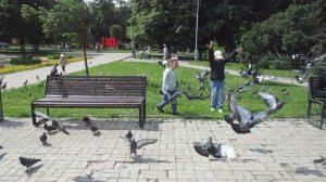 Прогулки по Чебоксарам