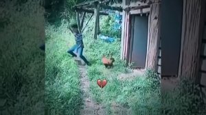 прикол