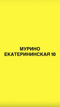 Как пройти в студию: Мурино, Екатерининская 10