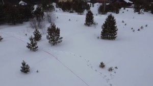 Участок в Лаки Парк , зима 2025