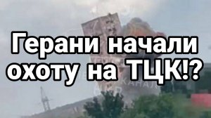 Герани начали охоту на ТЦК !?