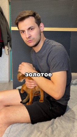 И что с ней делать😡