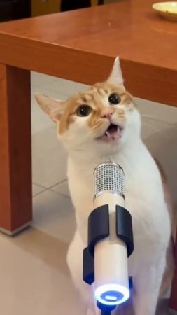 222