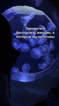 Прекратите