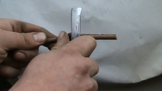 ВИНОГРАД.ПРЕДВАРИТЕЛЬНАЯ ПРОВЕРКА ПОЧЕК