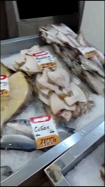 😍💈🐠 🐟