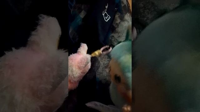 третья часть мемных игрушек