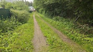 утро 29 июня