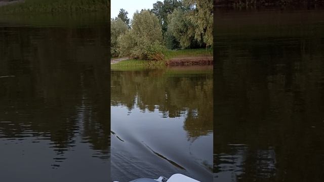 1000574260.mp4