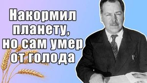 Семена судьбы. История великого ученого биолога Николая Вавилова