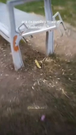 эдит лавочки?