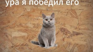 конец мира