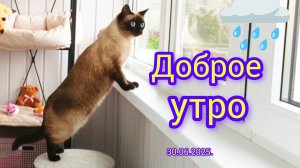 Доброе утро 30-06-2025