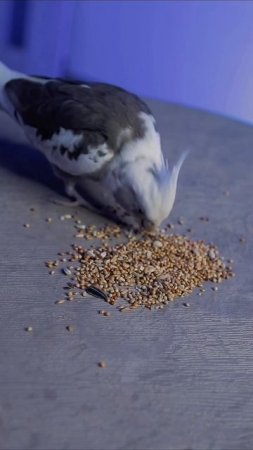 Вкуснятина