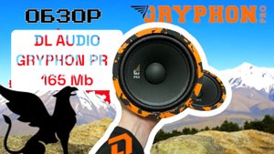 DL AUDIO GRYPHON PRO 165 mid bass