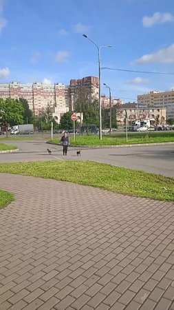 Проблеск лета