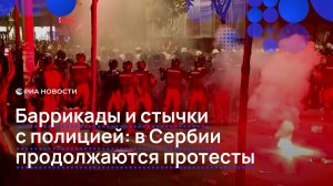 Антиправительственные протесты вспыхнули в Сербии