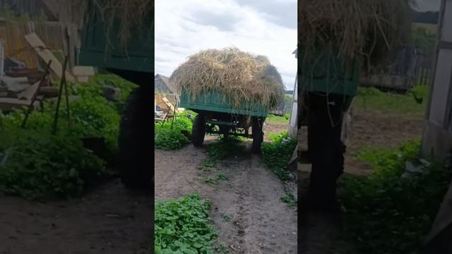 Хорошо что трактор у нас есть