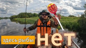 Здесь рыбы нет! Волхов.
