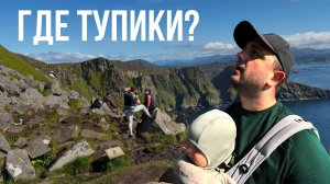 Путешествие с малышом на птичий остров Runde в поисках тупиков