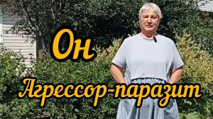 У огурца ОТËК 😳? Агрессор-паразит в саду. Ежонок живи.