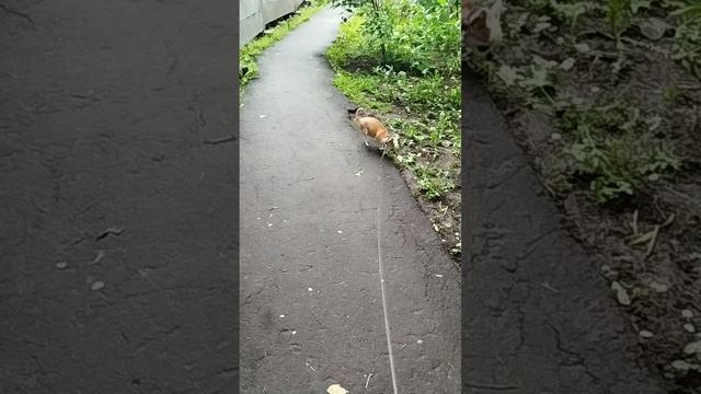 Сеня как всегда бодр и весел, опять весь в глине пришёл