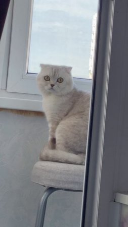 😸👍👍