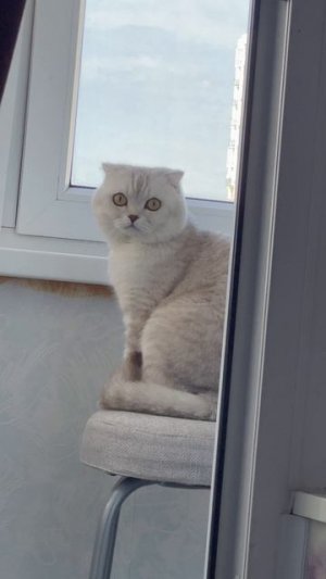 😸👍👍