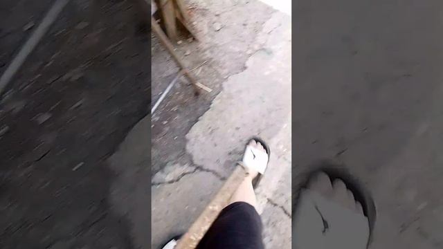 уничтожаю гриб разными инструментами