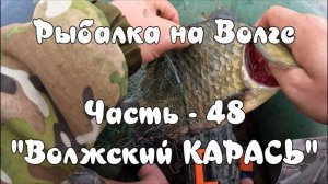 Рыбалка на Волге. Часть - 48. "Волжский карась".