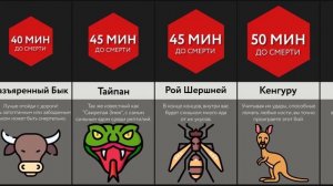 Сколько Ты Продержишься Против ____