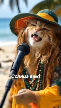 Поющий котик