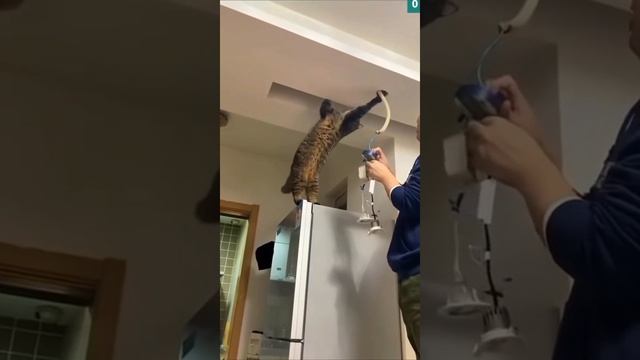 Помощники