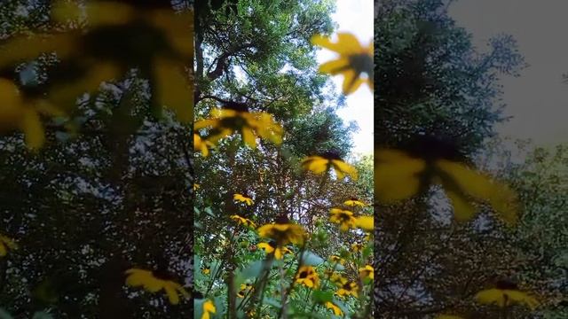 Там весна без тебя расцветает (полная версия)