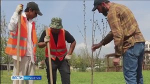 Ингушетия выполнила план по восстановлению лесных массивов