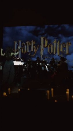 NELLA MUSICA ORCHESTRA «Гарри Поттер и Симфомультимедия»